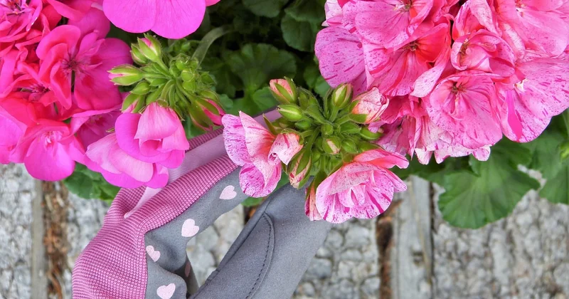 L'entretien d'été : le geste qui prolonge la vie de vos gants